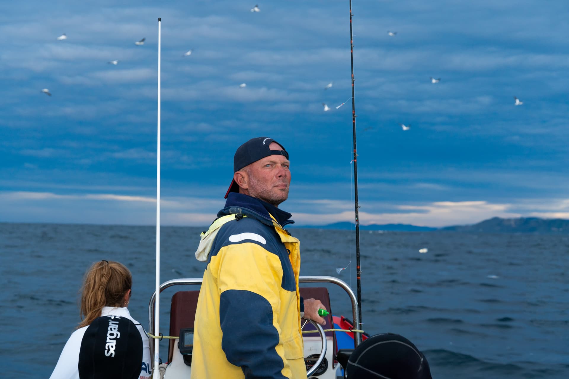 Sardine Run action