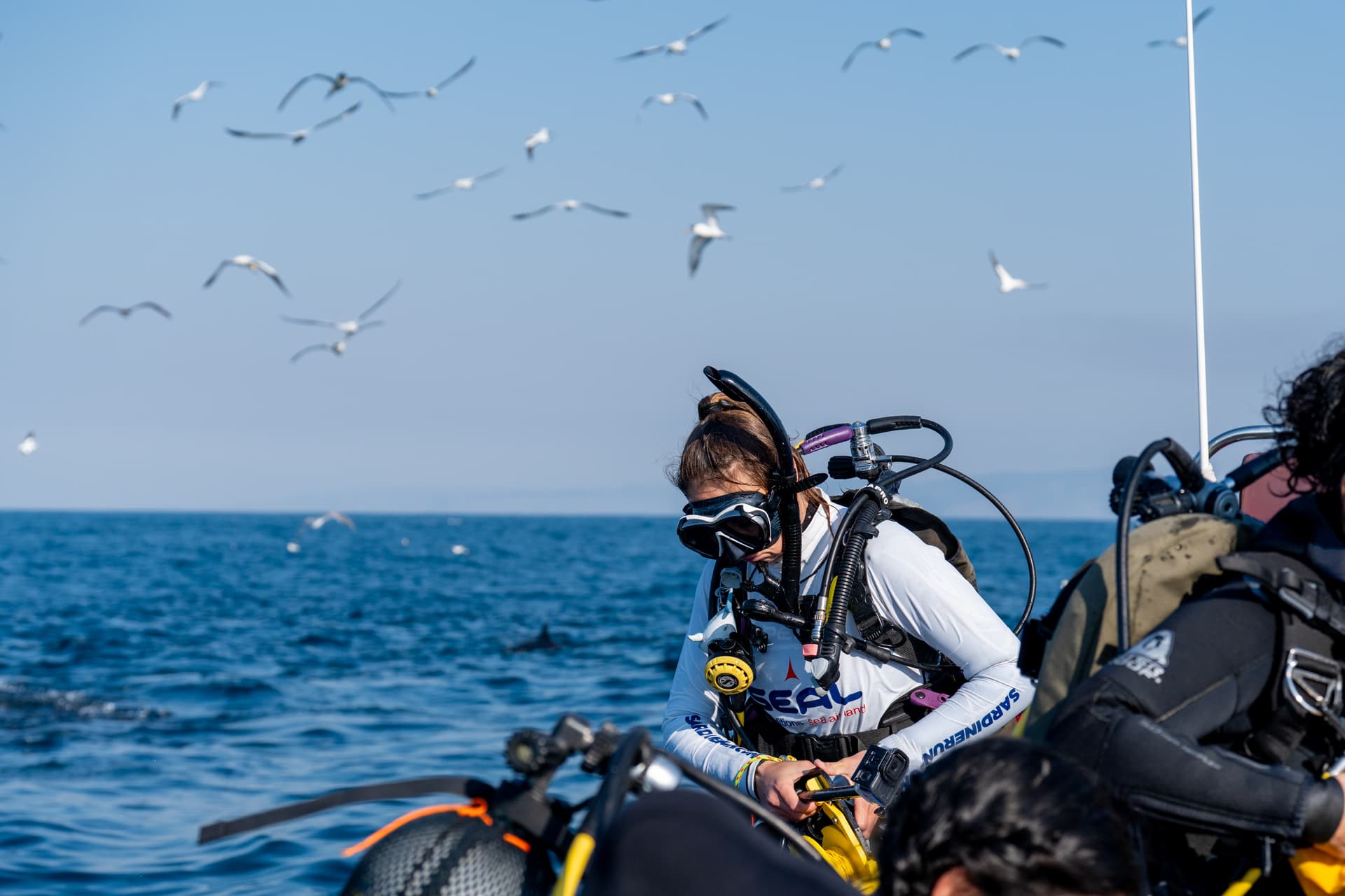 Ocean wildlife encounter
