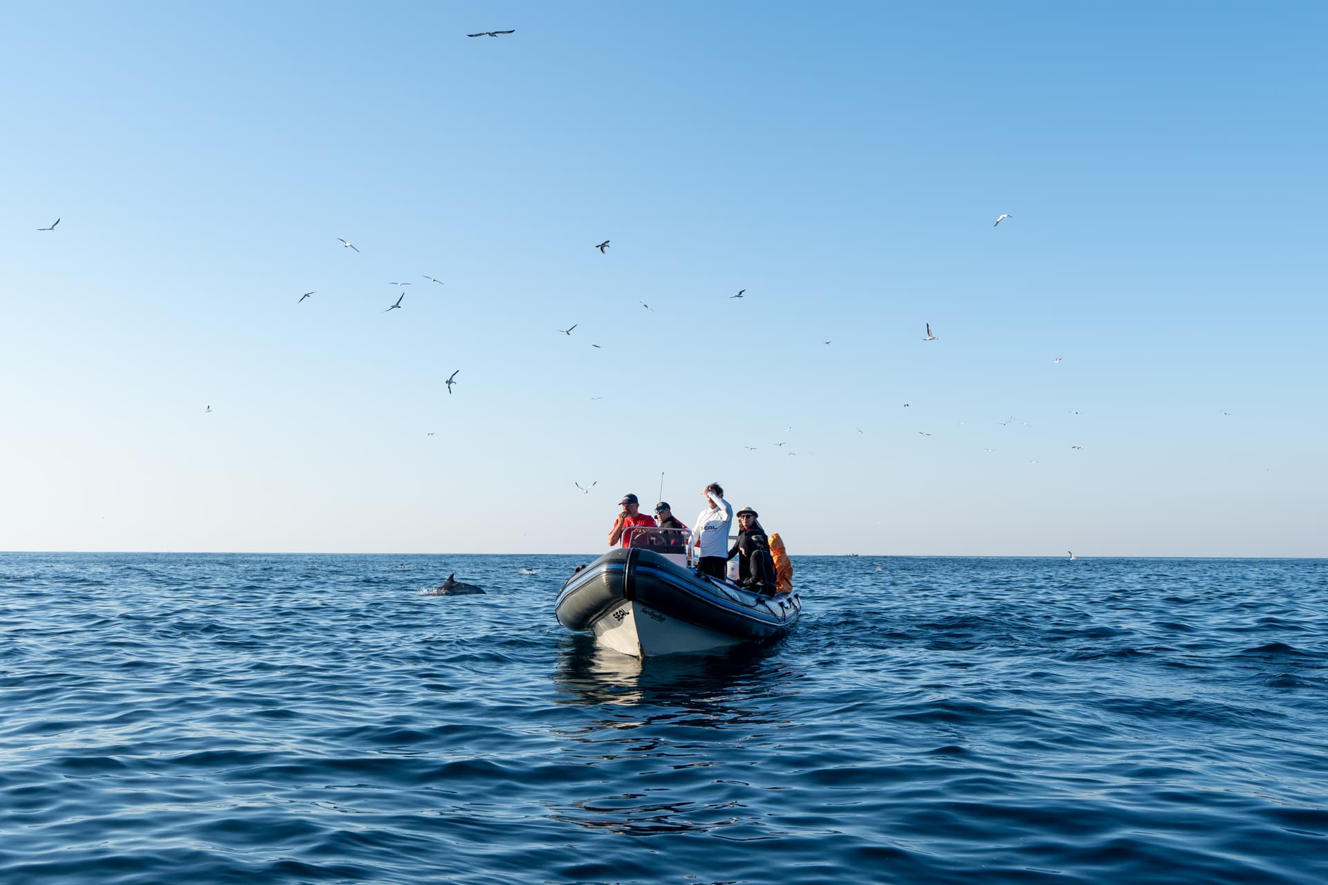 Explore & First Dive